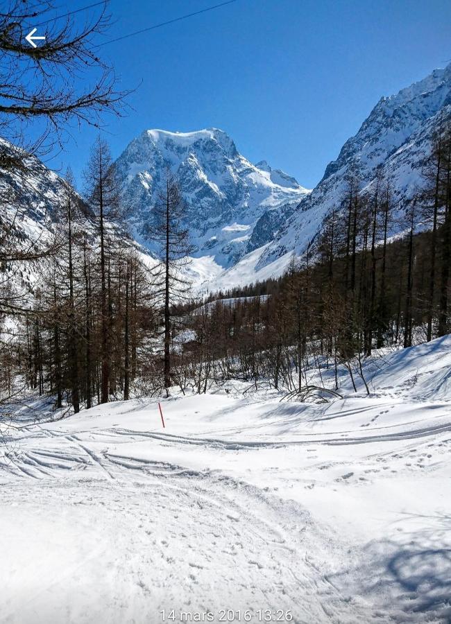 Le Panorama - Appartement à Arolla face aux montagnes à 150m des pistes Evolène Esterno foto