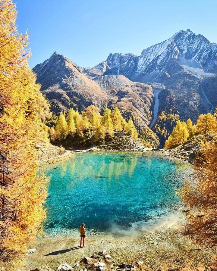 Le Panorama - Appartement à Arolla face aux montagnes à 150m des pistes Evolène Esterno foto