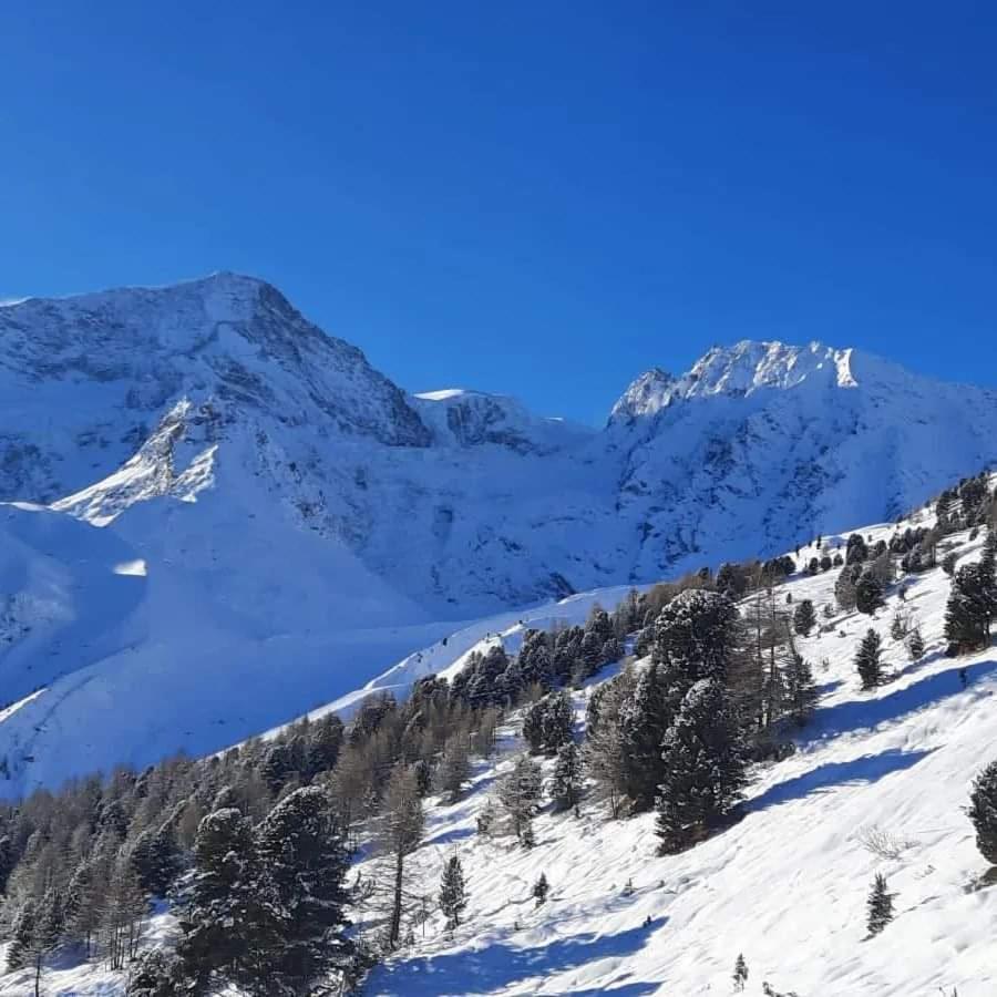 Le Panorama - Appartement à Arolla face aux montagnes à 150m des pistes Evolène Esterno foto